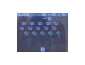 Sony Ericsson T300 Review